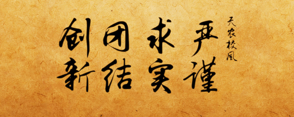 23786730津ICP备