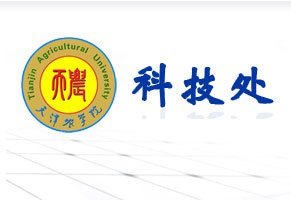 十大滚球体育app