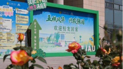 十大滚球体育app