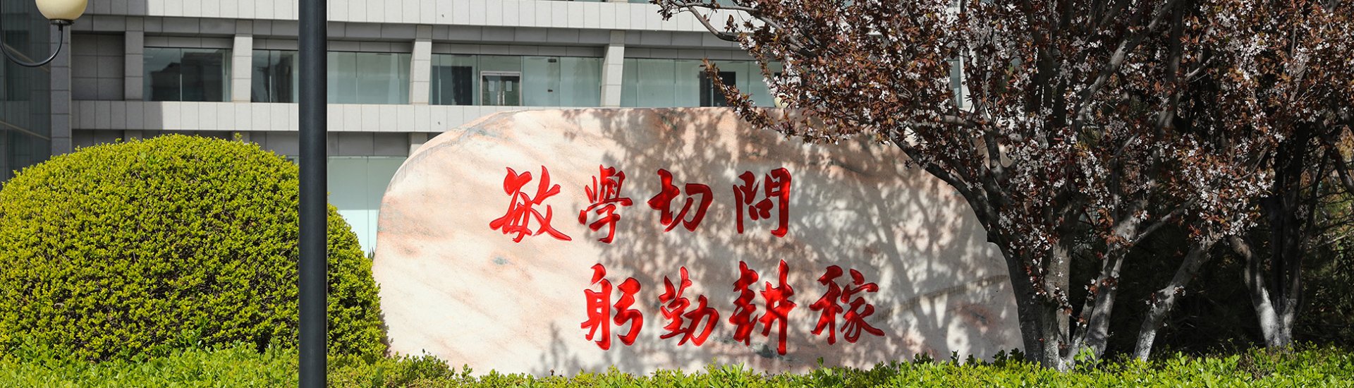 十大滚球体育app